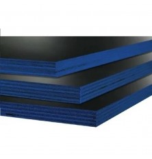 MADEIRITE PLASTIFICADO 2.20X1.10X12