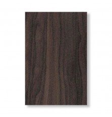 FORMICA CANNYON BRILHO PP 5704 0.8