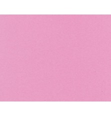 FORMICA ROSA TX.PP221 PERTECH