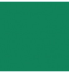 FORMICA VERDE OFICIAL BRILHO PP317 0.8