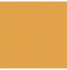 FORMICA OURO TEXTURA PP-229