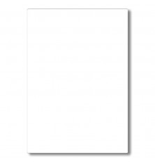 FORMICA BRANCO FROST PP60 PERTECH