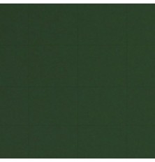 FORMICA VERDE LOUSA LINE PP5865 1.0
